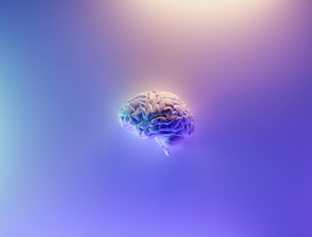 An image of a brain on a blue-purple background.
